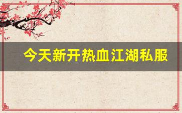 私服发布网：今天新开热血江湖私服 (4)