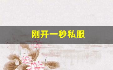 刚开一秒私服(新开一秒传奇)