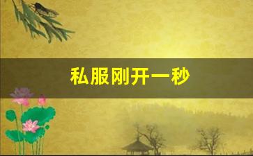 私服刚开一秒(新开一秒传奇sf) (2)