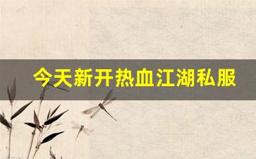 西游私服网：今天新开热血江湖私服 (12)