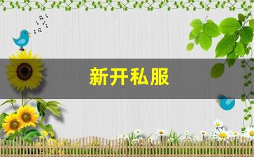 新开私服(sf999传奇新服网) (10)