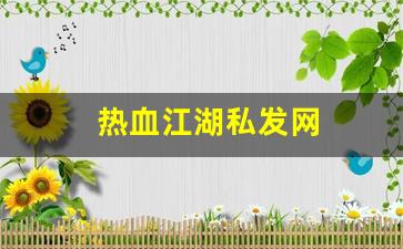 热血江湖私发网(热血江湖私发网 玩家等级达到10级以上) (4)