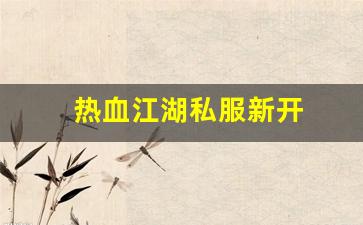 热血江湖私服新开 (12)